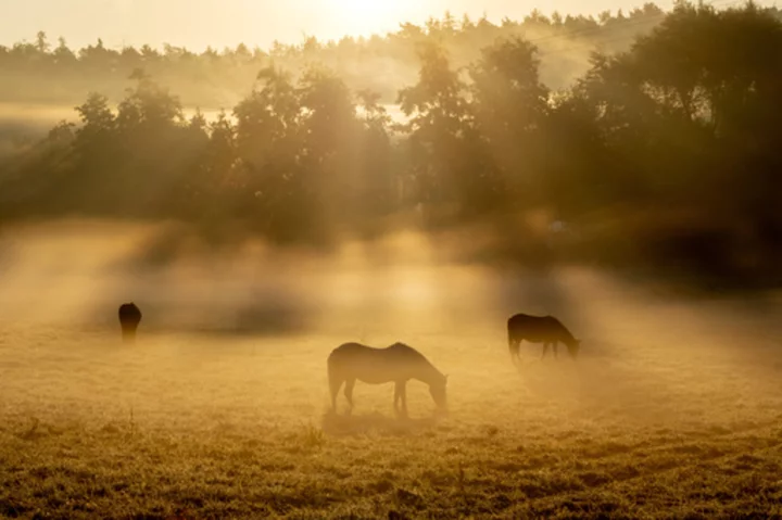 AP Week in Pictures: Europe and Africa | Sept. 29-Oct. 5, 2023