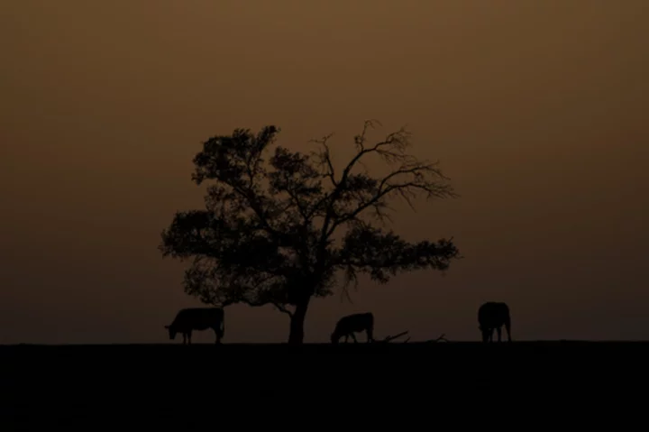 As winter warms, farmers in southern US find ways to adapt