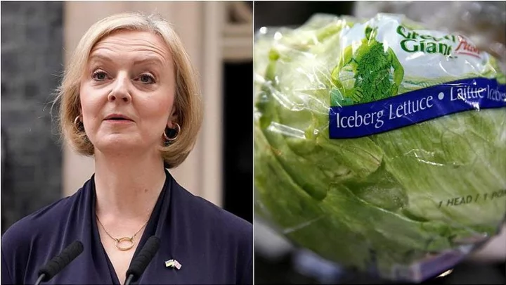 Labour use the Liz Truss lettuce to make point about the Tories economic failure