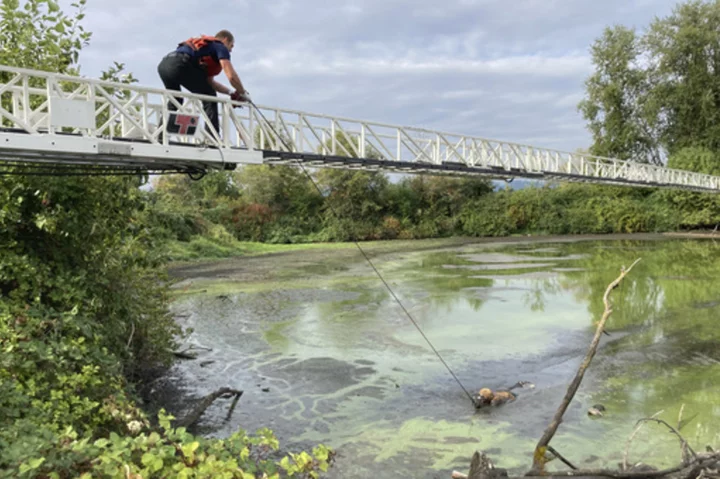 Man who escaped Oregon mental health hospital while shackled found stuck in muddy pond